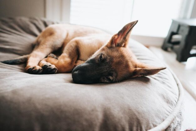 6be4a988992096475d3dc40cfe126b15